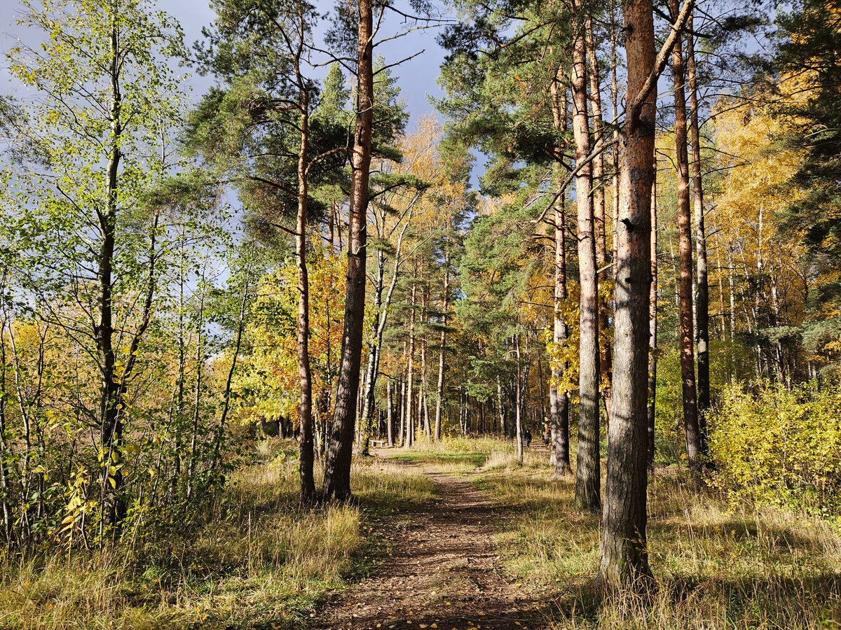 В парке осенью