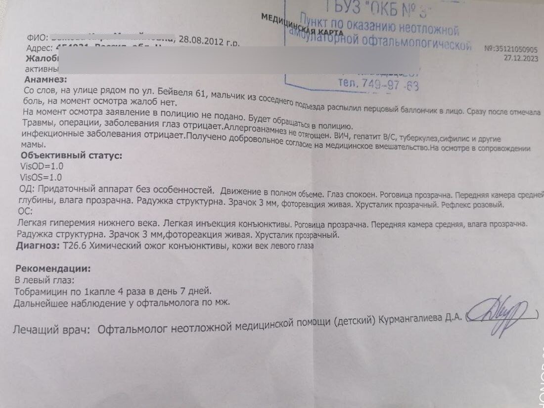 ФОТО: ПРЕДОСТАВЛЕНО "РУССКОЙ ОБЩИНОЙ".