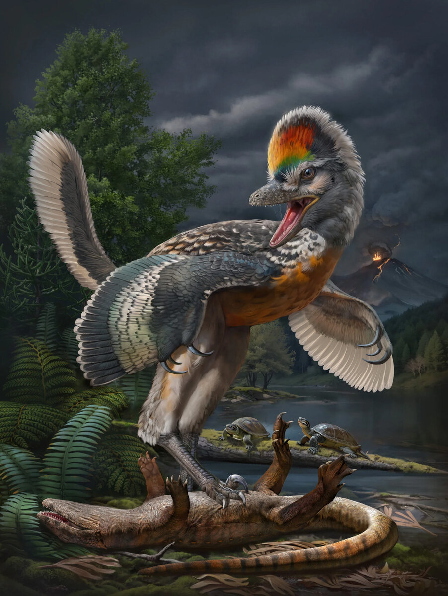 Fujianvenator prodigiosus. Иллюстрация: Chuang Zhao.