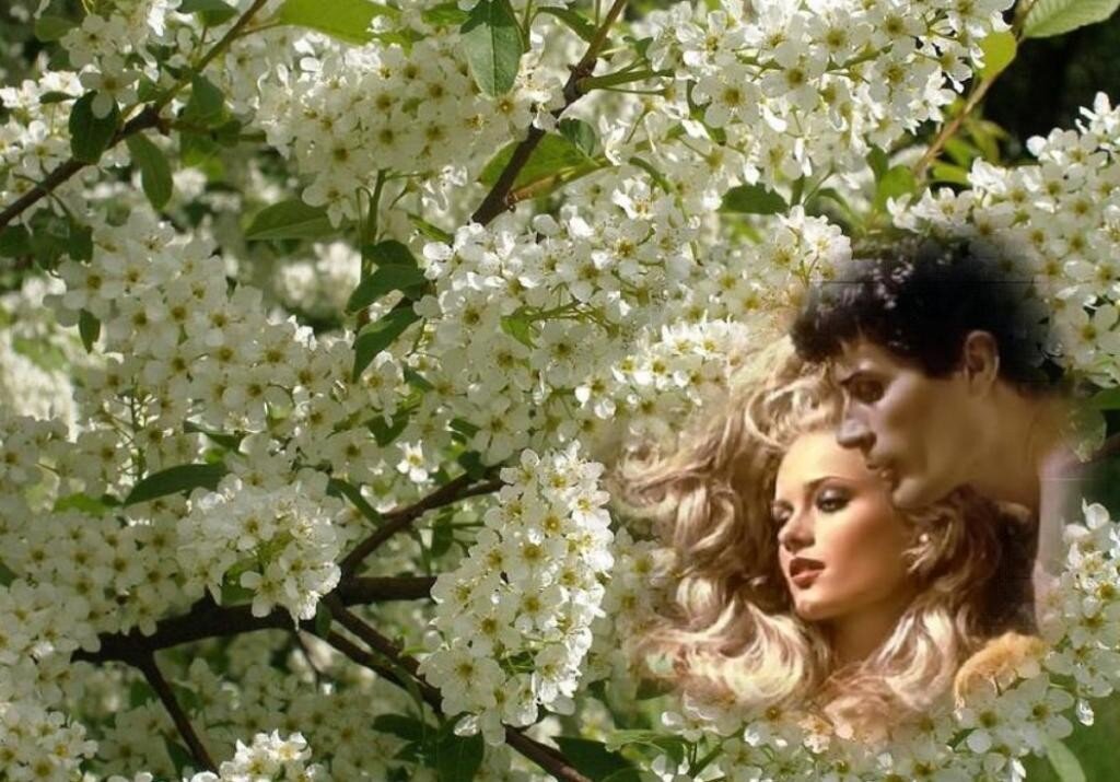 Девушка показывает гифка. Стихотворение волны ходят ходуном. Я уже спал на этой неделе картинка. Иди трясись. Гром гремит кусты трясутся продолжение.