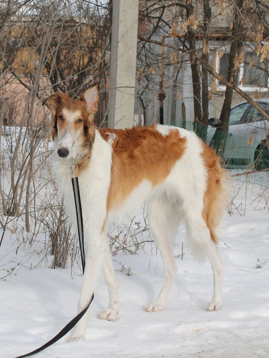 Можно листать ===>