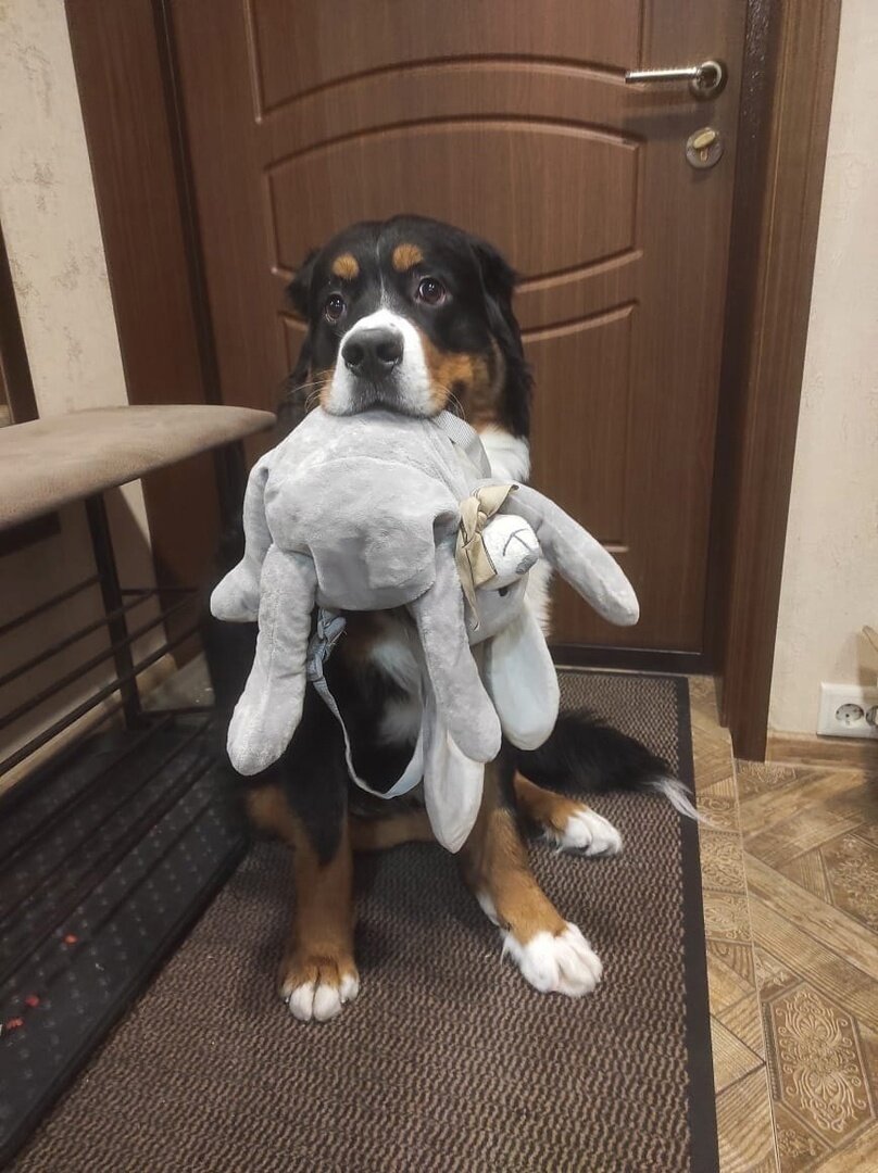 Можно листать ===>