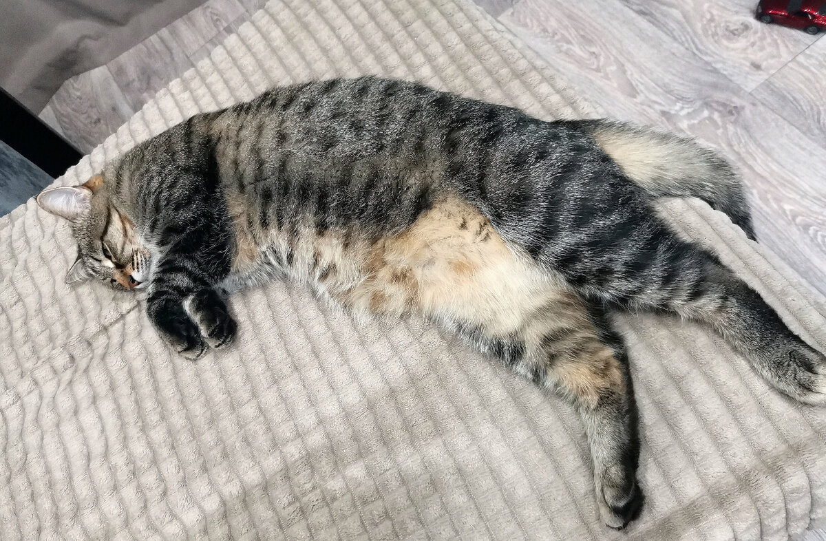 Повзрослевший Компот