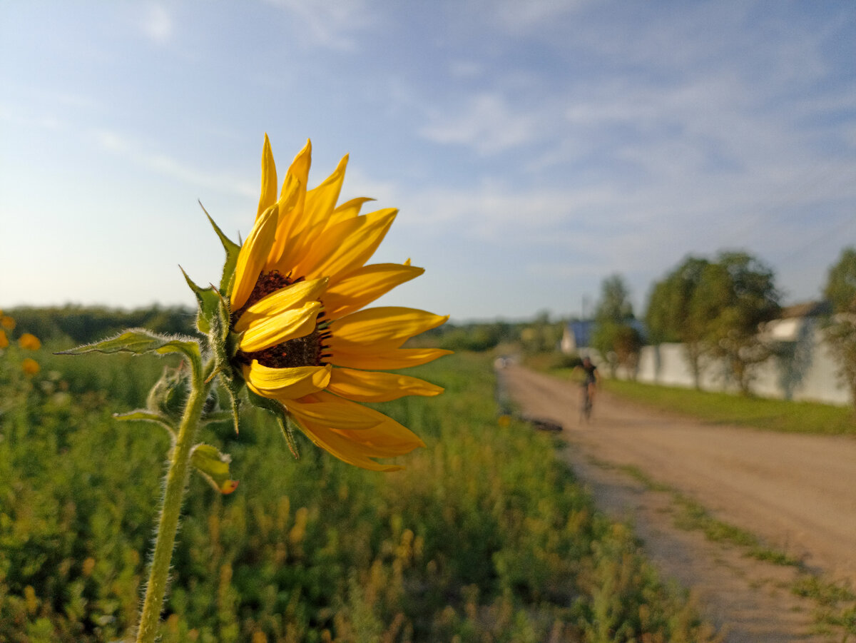Покатушка с мужем