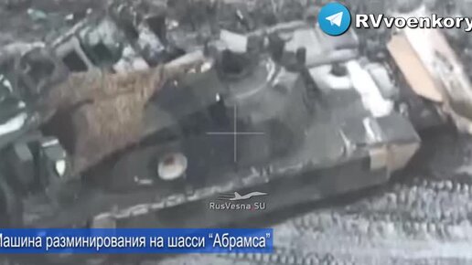 Муравьишка вопросик и мудрая черепаха. Путешествие муравья бианки. Муравей вопросик окружающий мир 1 класс. Загадка про муравья для детей. Как муравей потерял время.