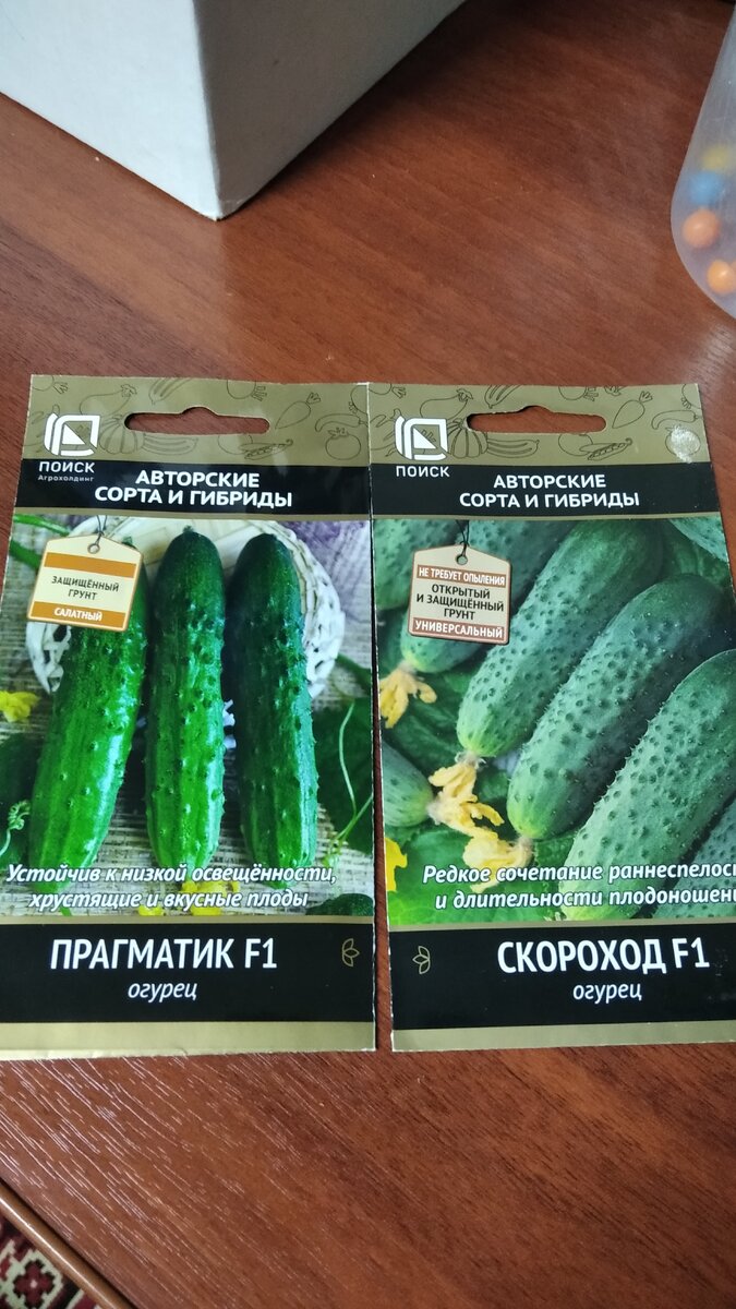 Bejo zaden. семена гавриш огурец кураж f1. огурец кураж f1 гавриш 1+1. корнишон дебют f1. семена огурцов отзывы.