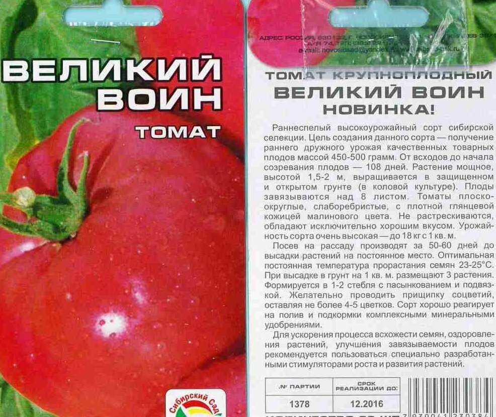 Владимир великий томат описание фото Защитники Отечества, только томаты: Русский Герой, Бравый Генерал и Великий Воин