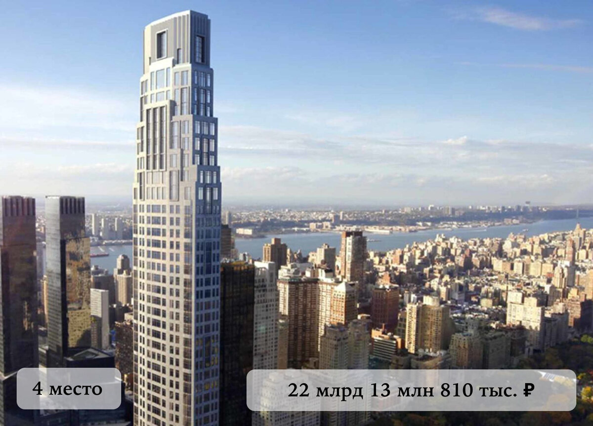 самый дорогой йорк. ешкорский терьер. йоркширский терьер стандарт. берк йоркширский терьер. ешкорский терьер.