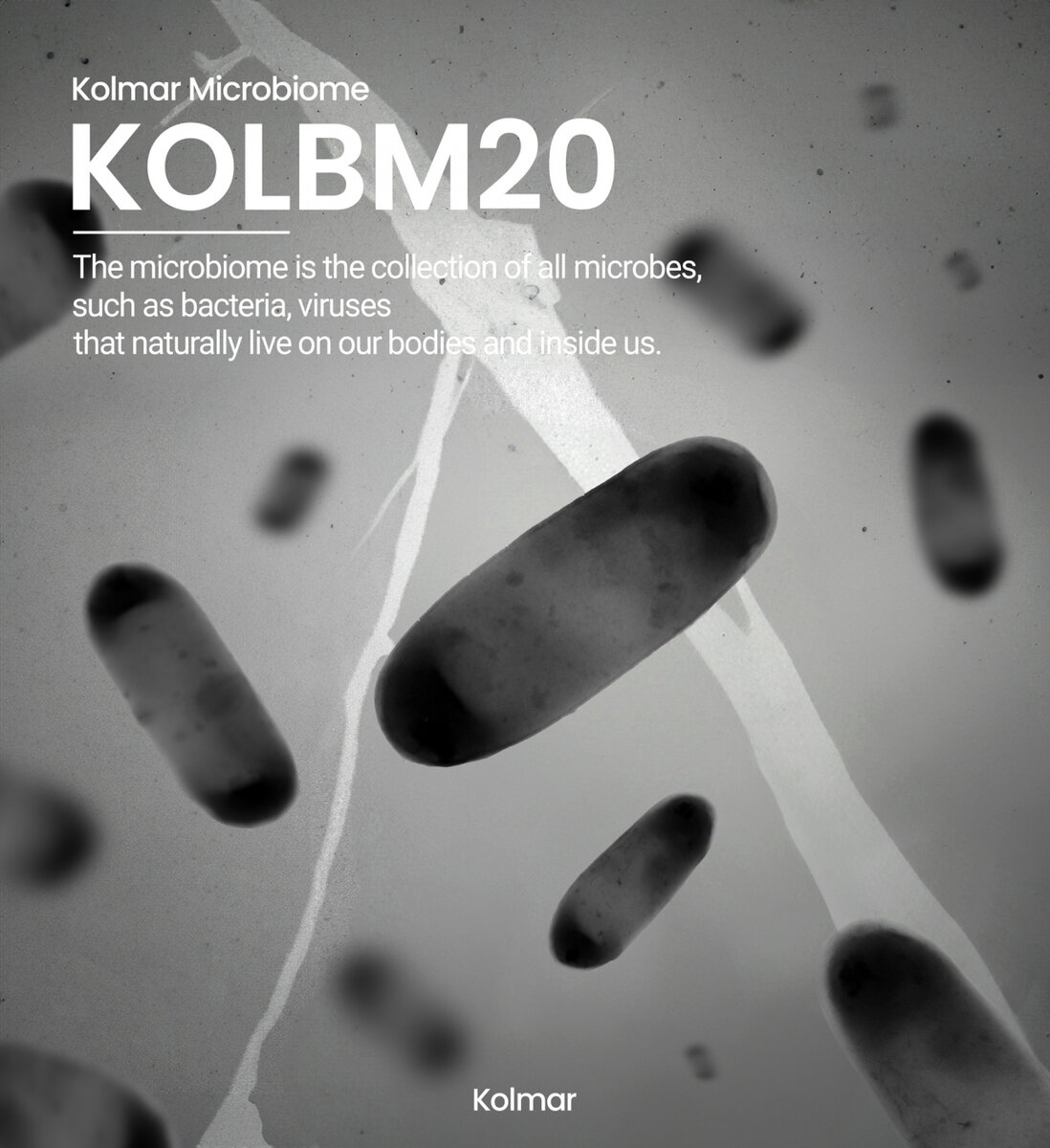 (Kolmar Korea)