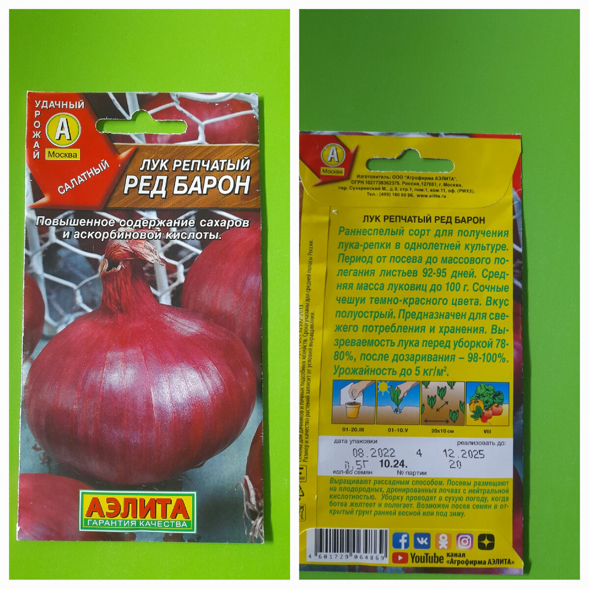 Красный репчатый лук «Ред Барон»