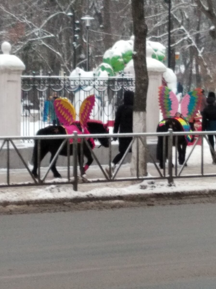 Идут на работу в городской парк 