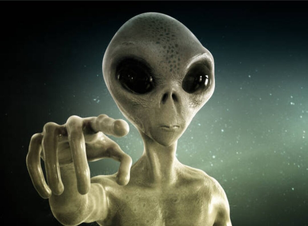 Приблизительный вид данных существ.