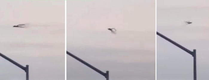 Свободный источник.