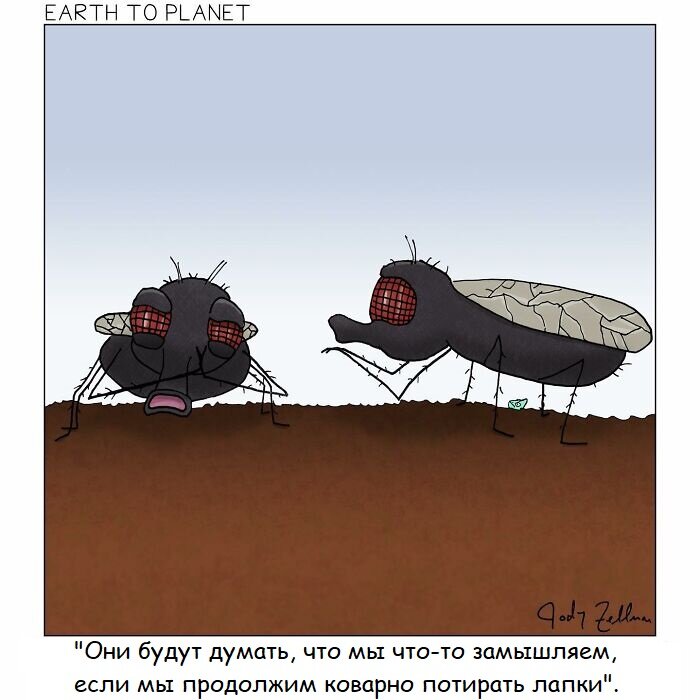 Источник: twitter.com/earthtoplanet