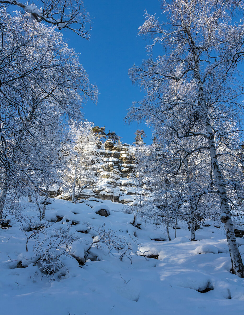 На склоне горы Заозерная.