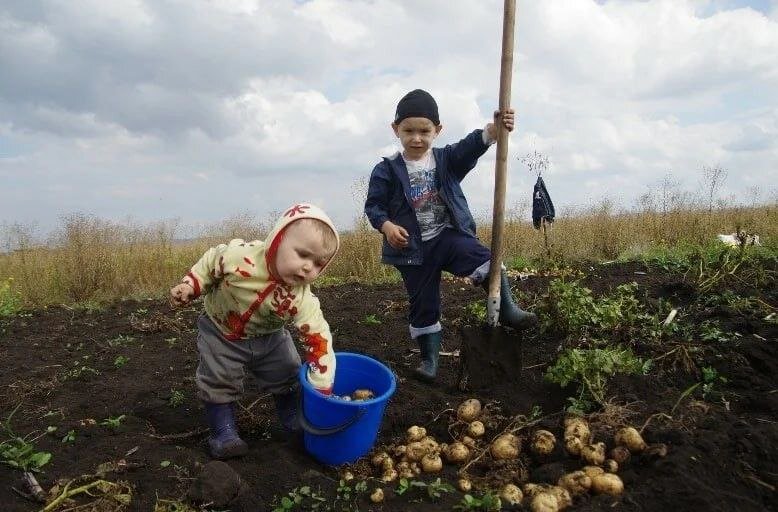 Картинка из интернета для иллюстрации