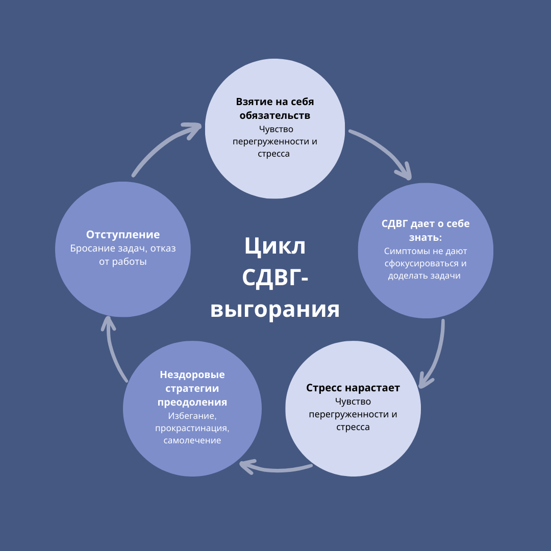 Цикл СДВГ-выгорания. 