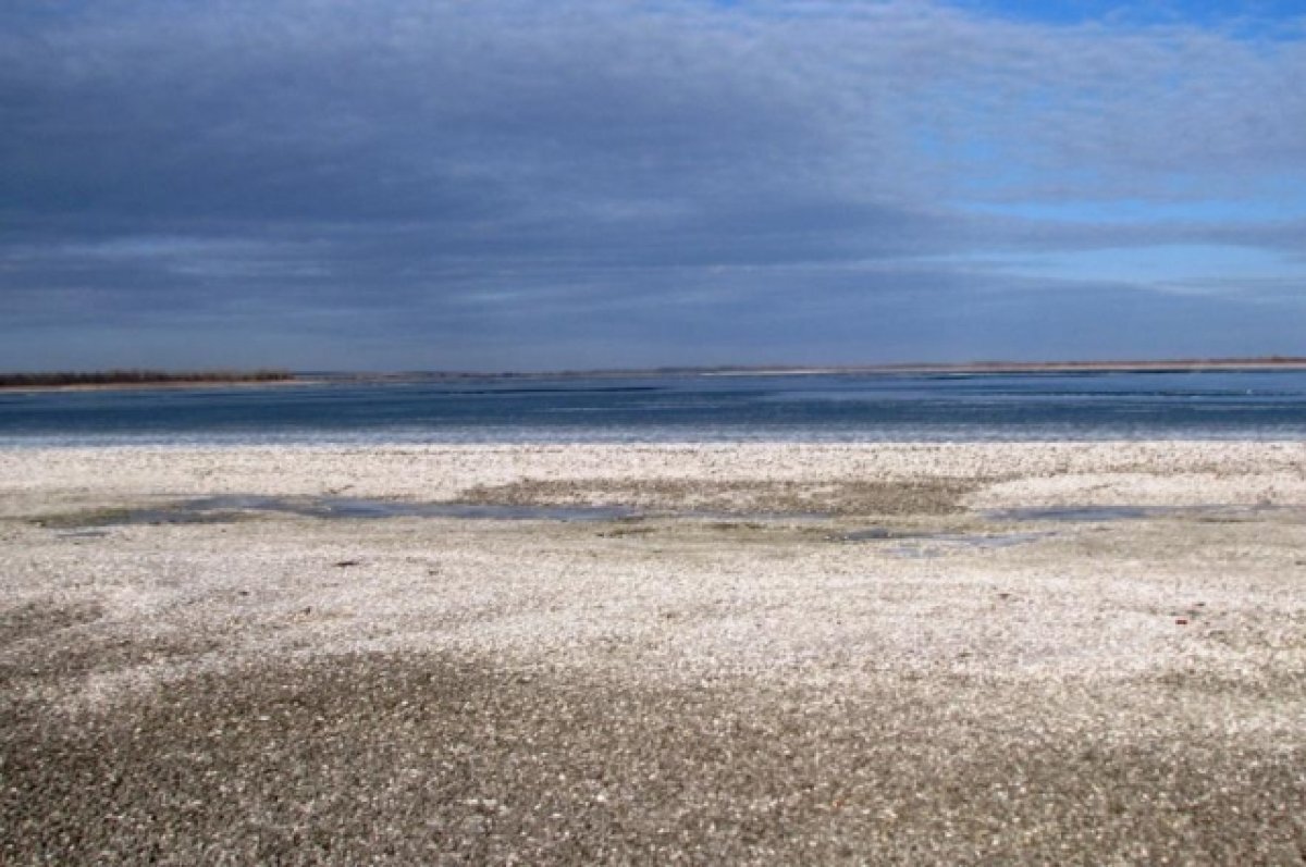    Парк появится на берегу Цимлянского моря.