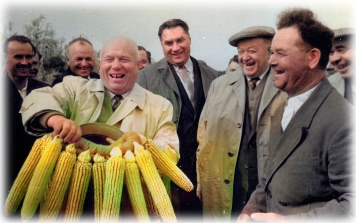 фото из интернета