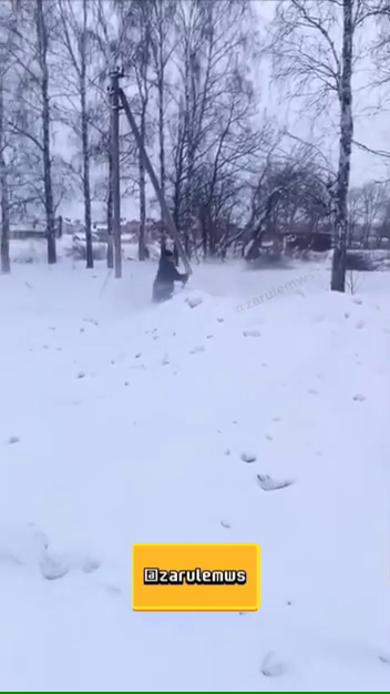 Долго жданный гость | Александрина Йоост | Дзен