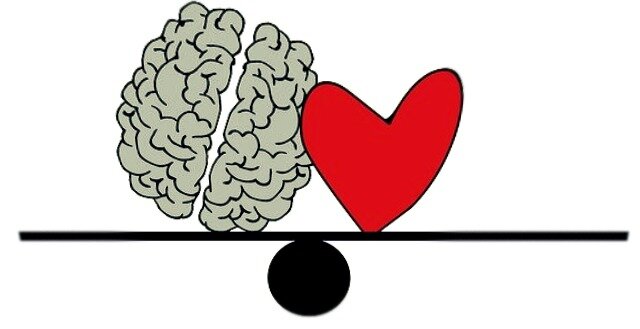 Картинка из открытых источников