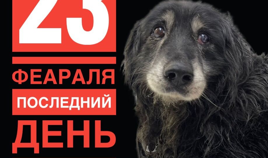 Боже! Праздники? А я сегодня сгину!