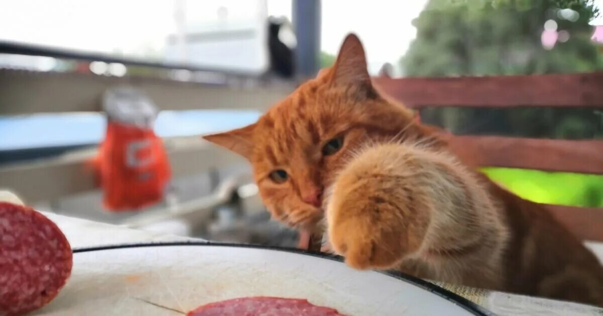 Источник: фото из интернета