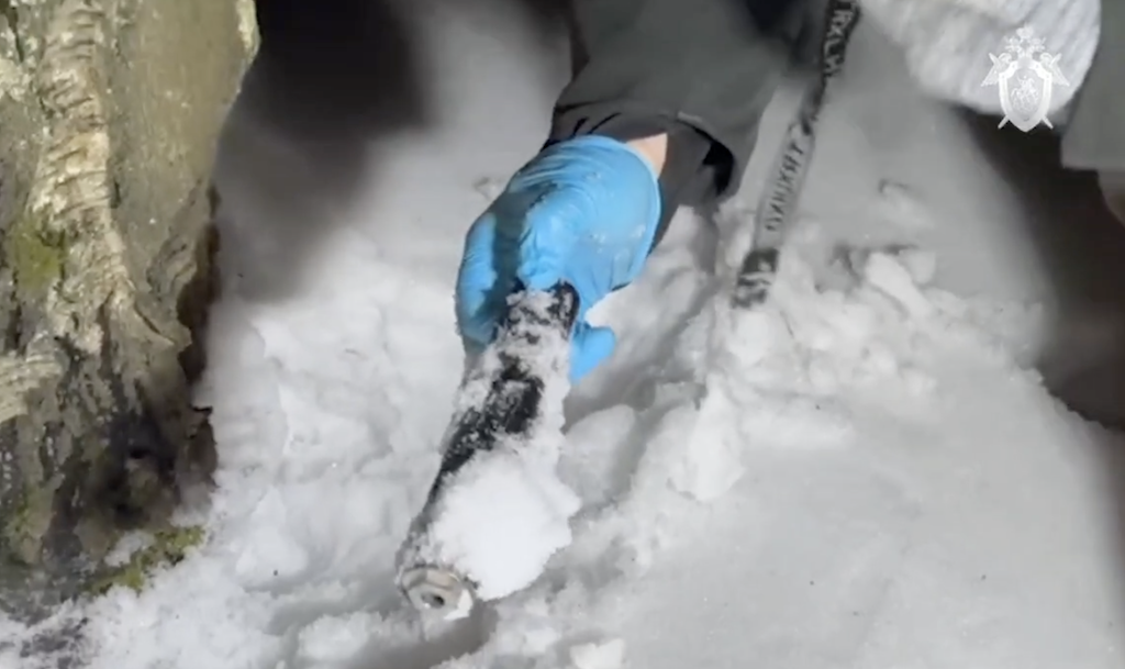 © Следственный комитет по Петербургу/скриншот видео