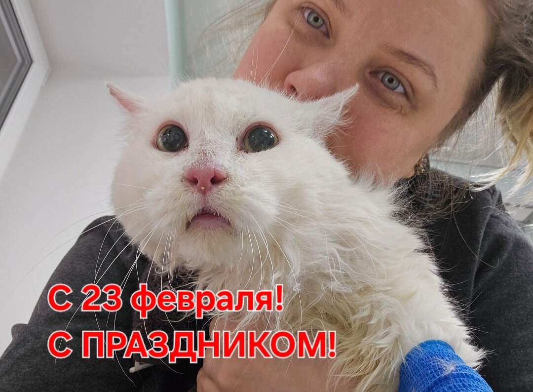 Фото автора. Дедушкин кот Неман и  я.