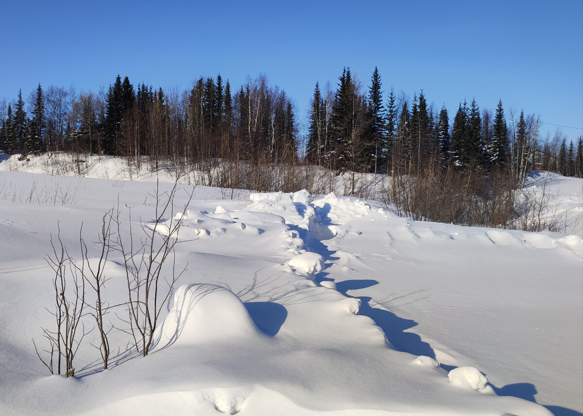 Мороз и солнце