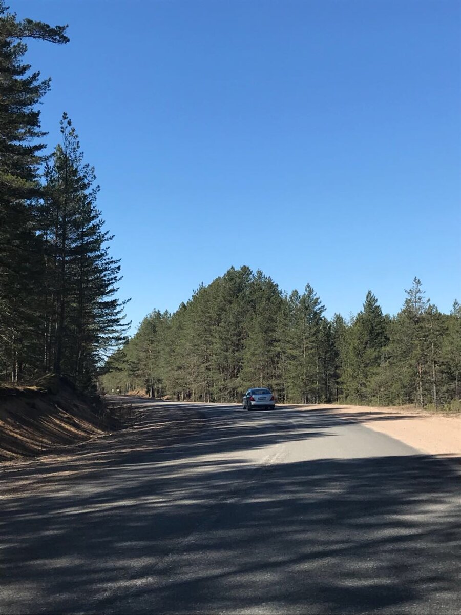 Авторское фото весна 2019 года – дорога от Пскова на Гдов в районе села Ямм.