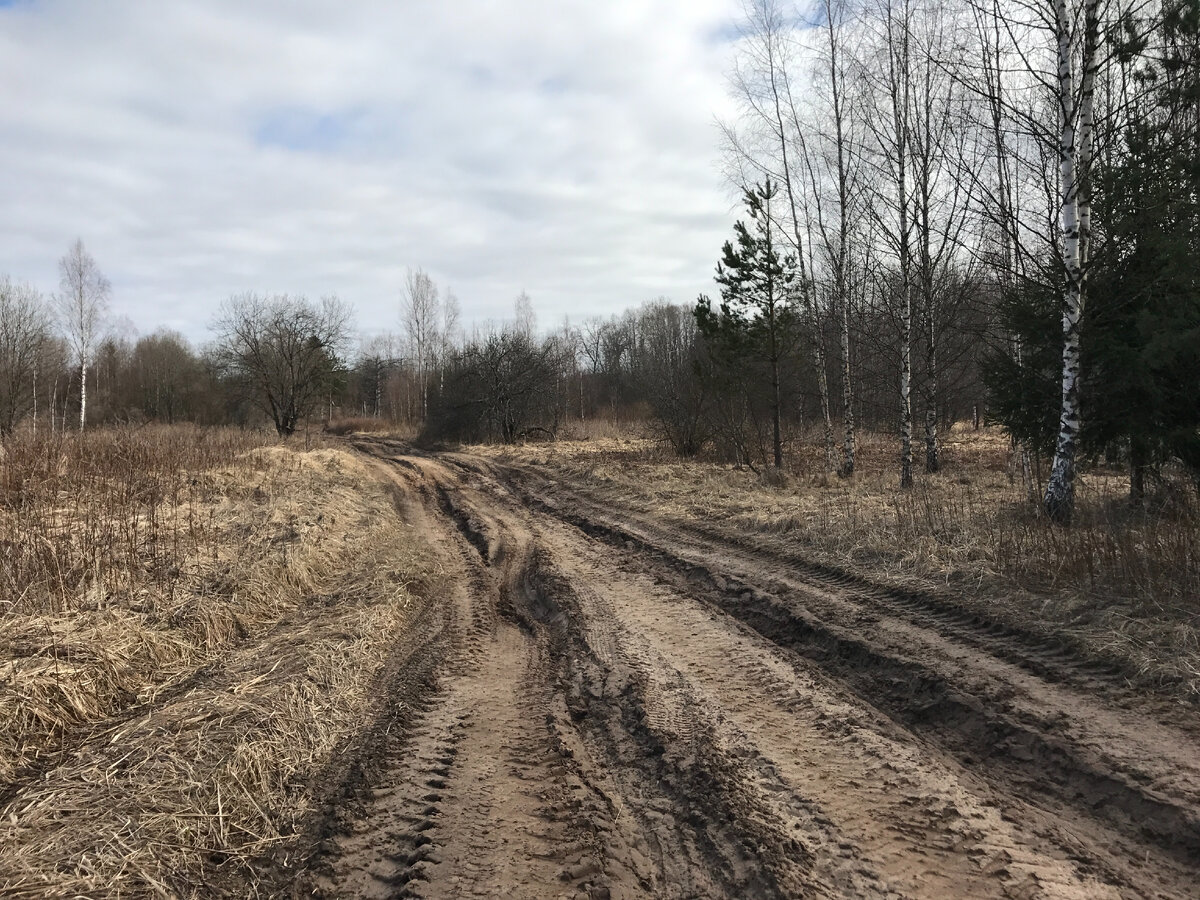 Не забытая деревня России — дорога в деревню Орел | Хутор Орел Псковской  области | Дзен