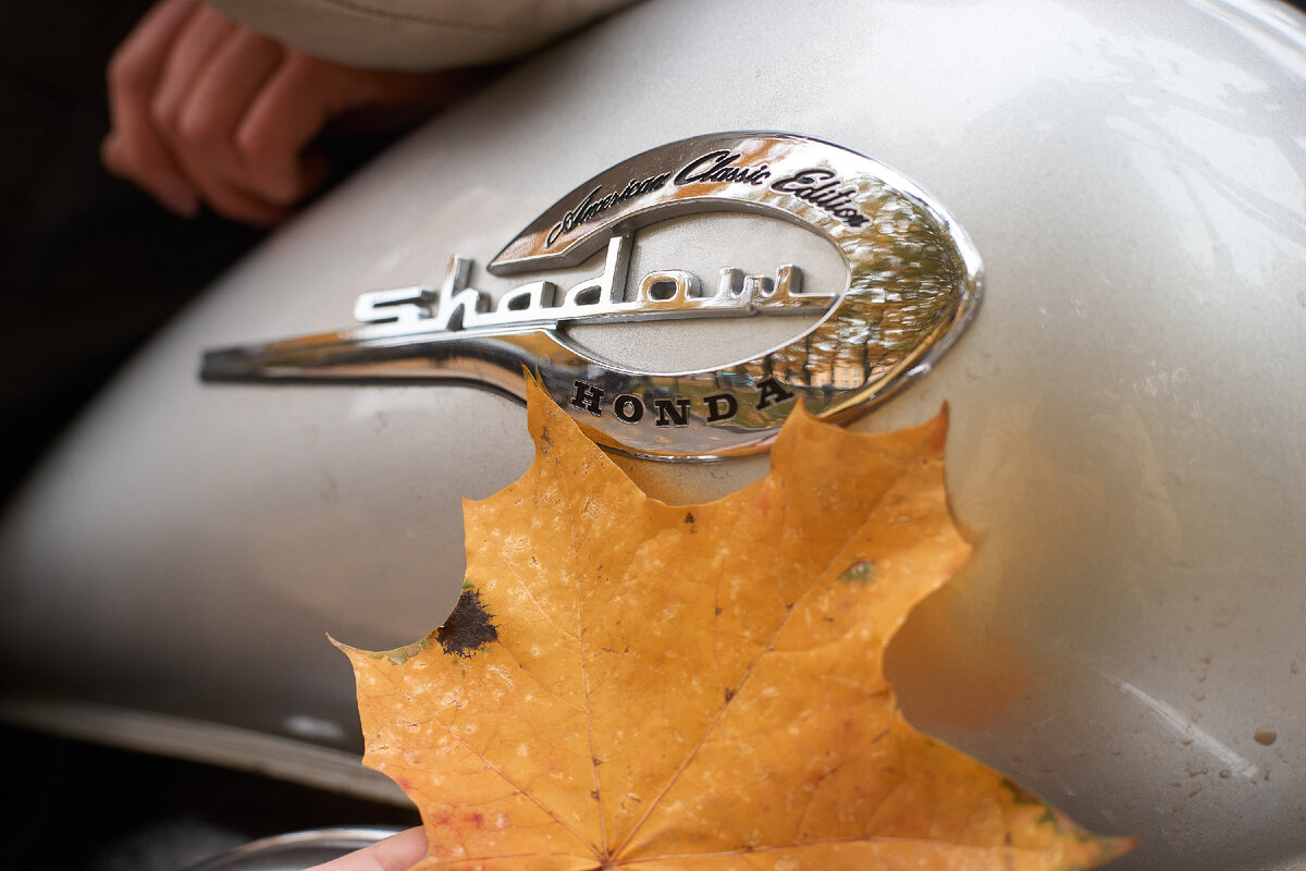 Какой мотоцикл самый популярный или по следам опроса о марке ...