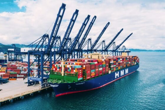     Фото: container-news