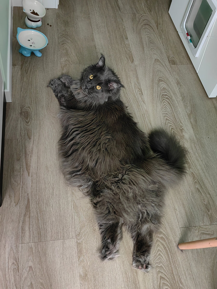 обед по расписанию никто не отменял