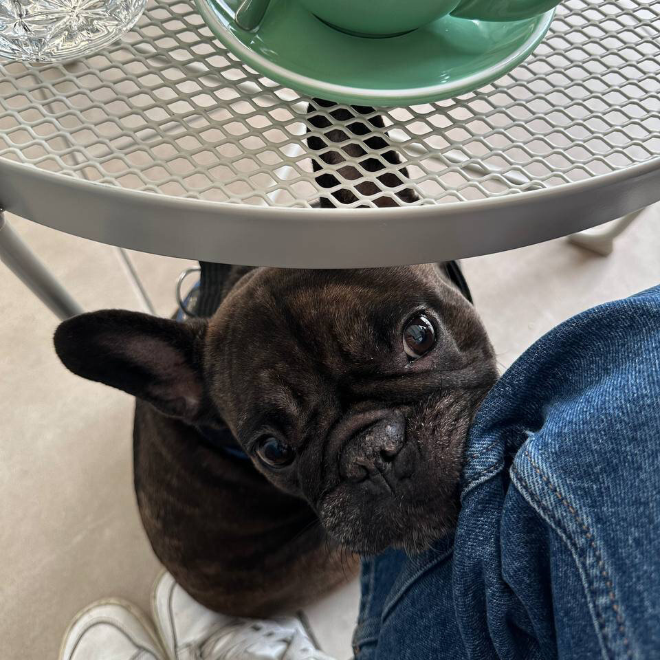 Да-да, давай посмотрим?