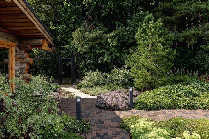 Фото не мое. Вот здесь Татьяна, автор канала Сад в Ростове-на-Дону подсказала, что пышный ковер справа, через дорожку, может быть горцем