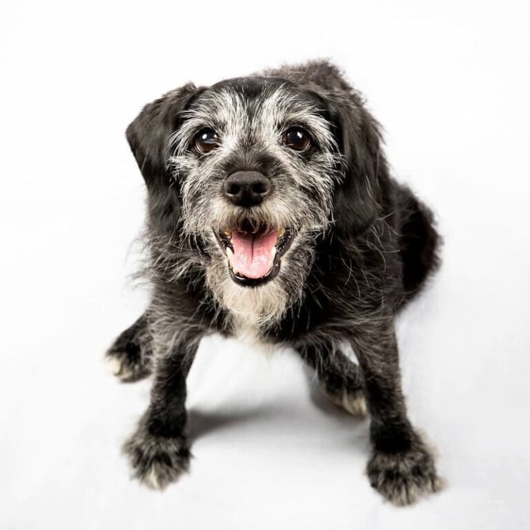 картинка из интернета