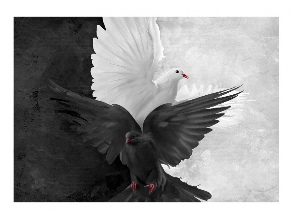 Изображение из открытых источников