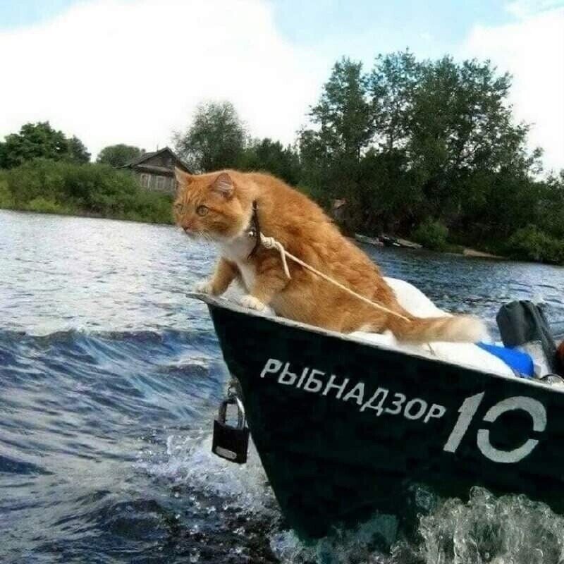 Из доступного источника