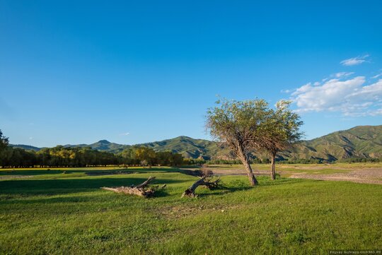 Отлежать бока. Стих про поворачиваться спиной. Свобода горы. Одинокий человек. Человек обернулся назад.