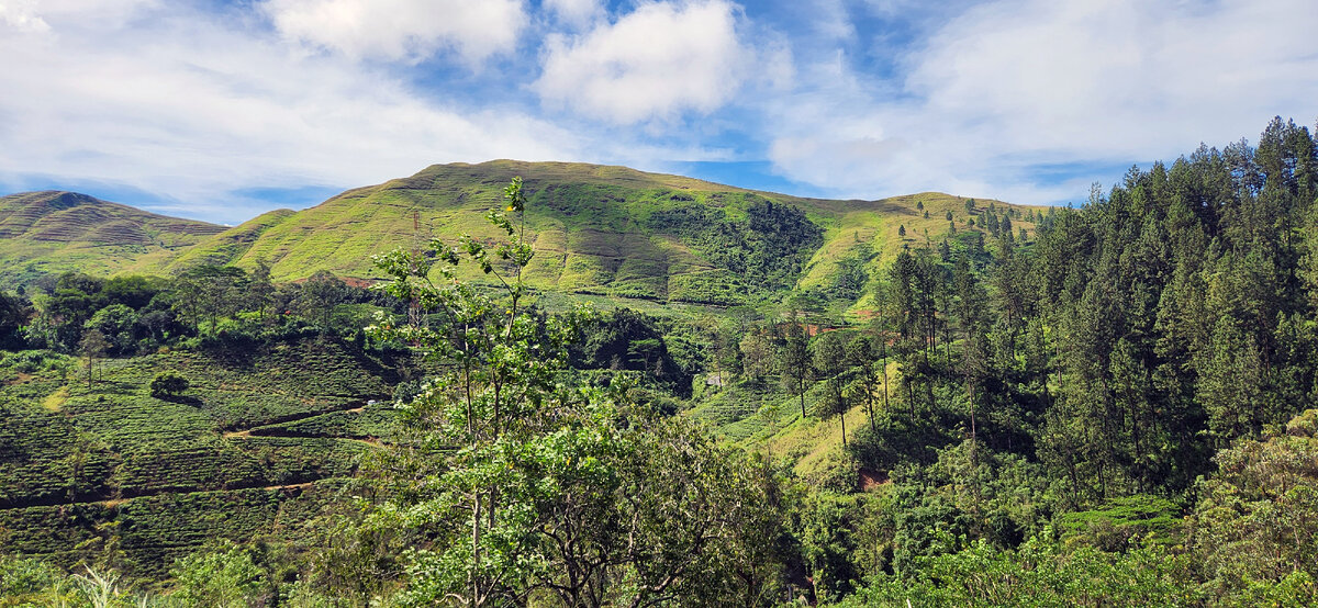 Фото из поезда