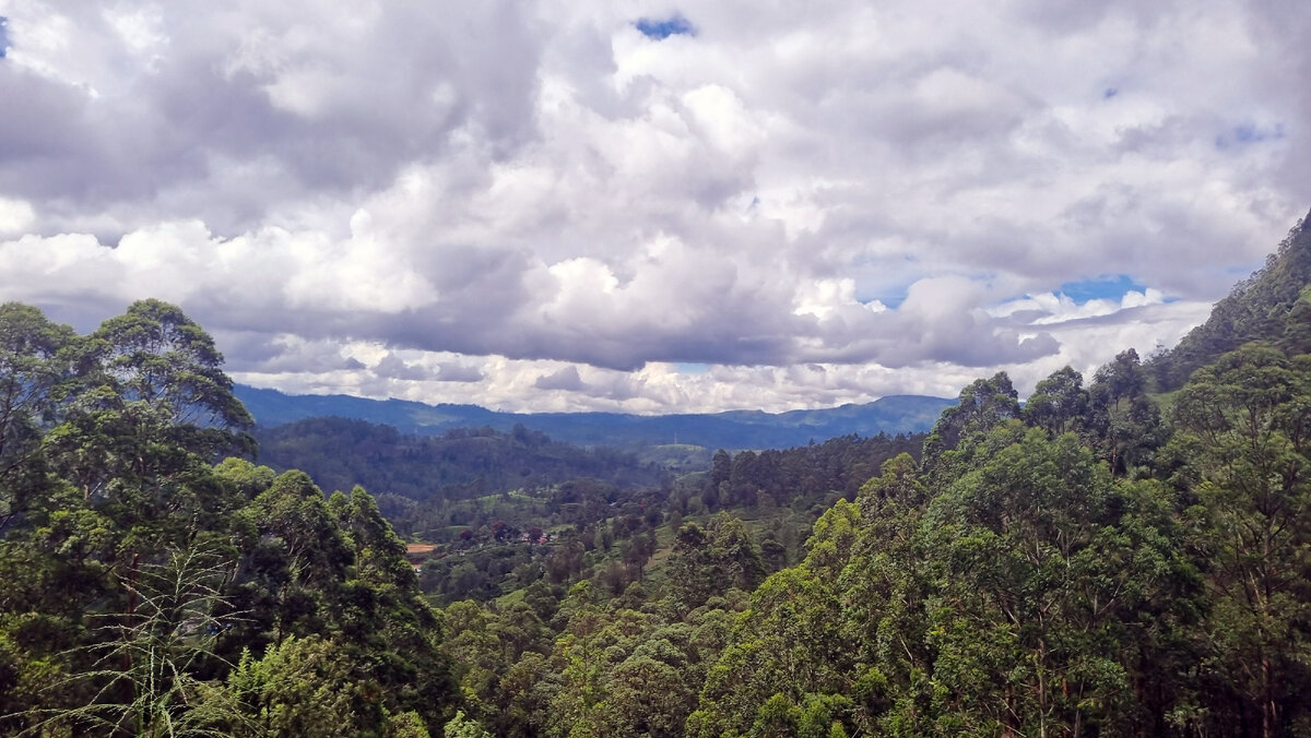 Фото из поезда