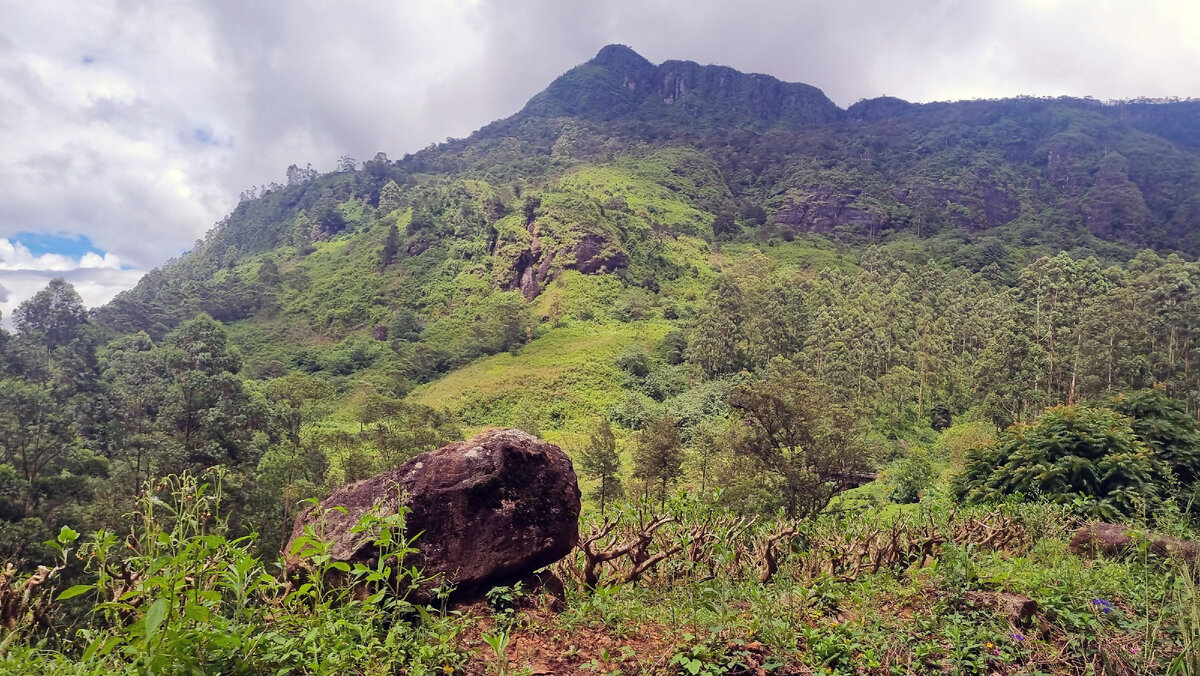 Фото из поезда
