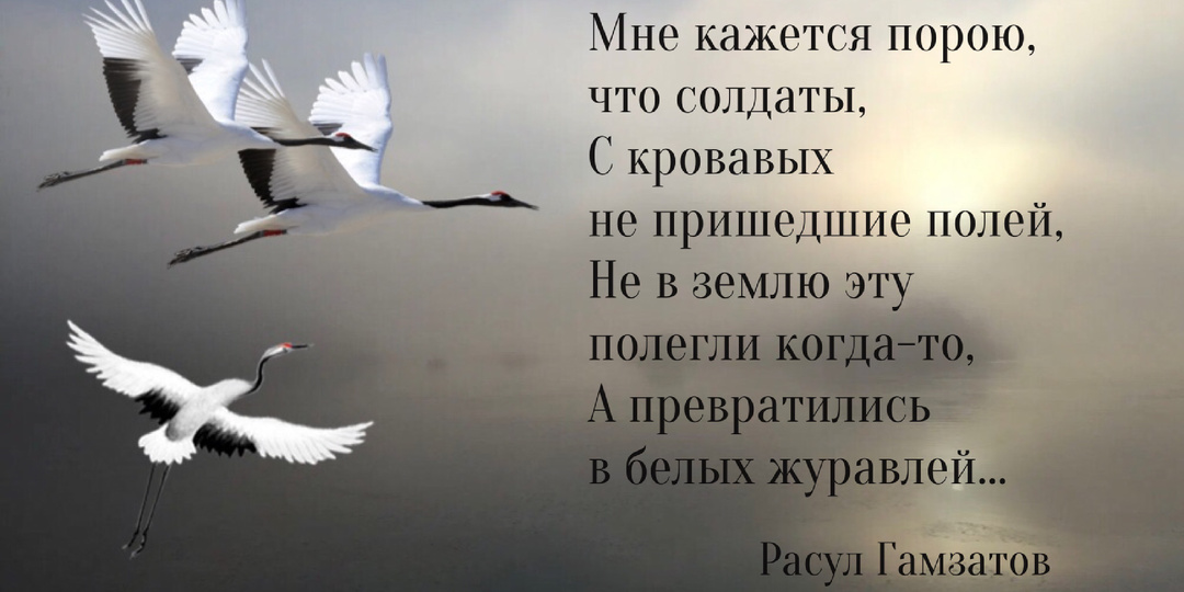 «Прислушайтесь к журавлиному крику…». История песни «Журавли».