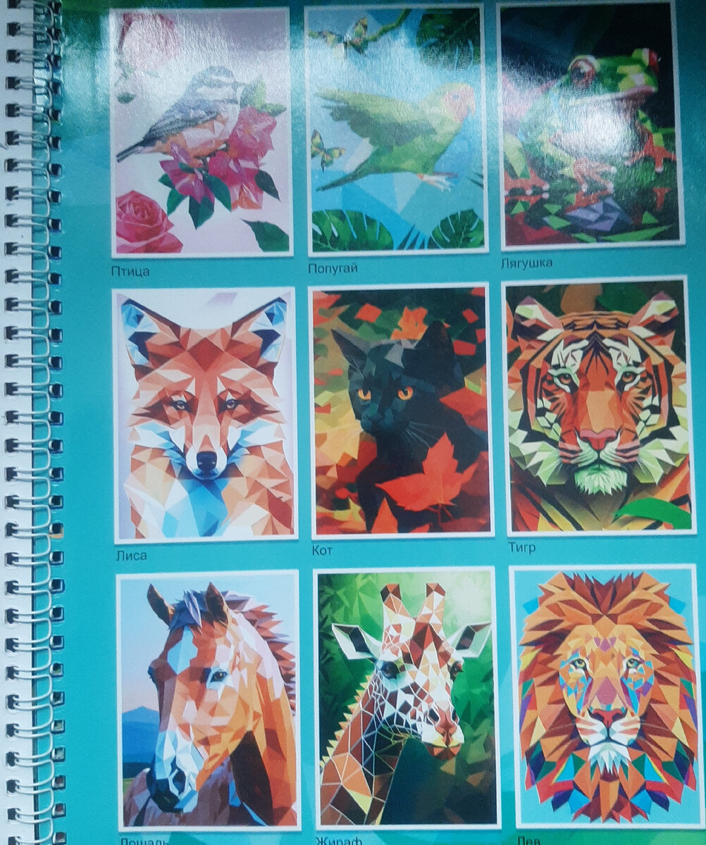 Албом Рисуем наклейками по номерам.