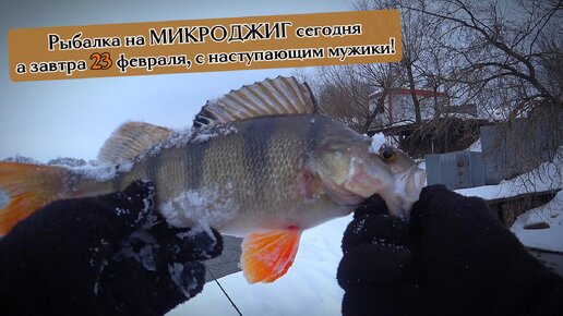 Окунь-полосатый басс. Рыбалка на микроджиг. Рыба из Москва-реки.