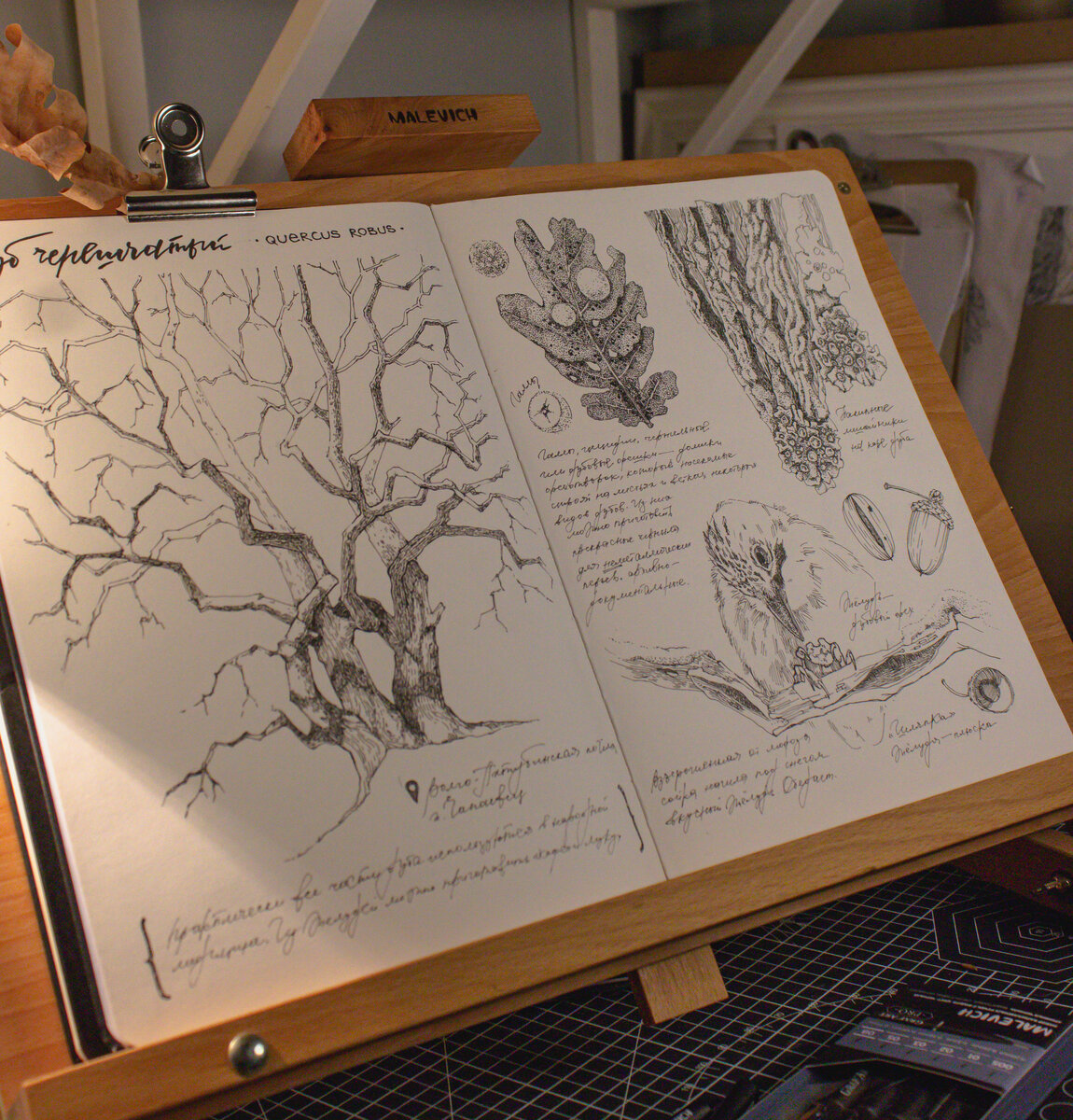 Формат блокнота 