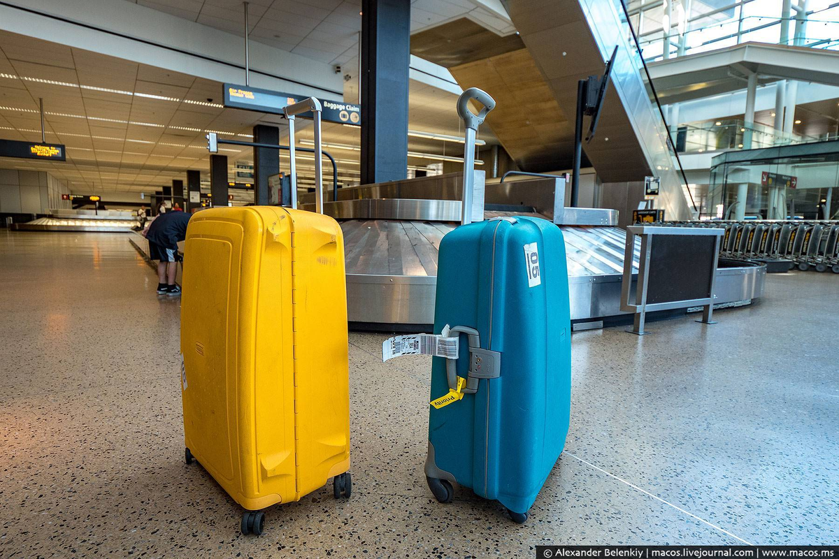 Рассказываю что делать при потере багажа! | Вокруг света за 100 статей✈️ |  Дзен