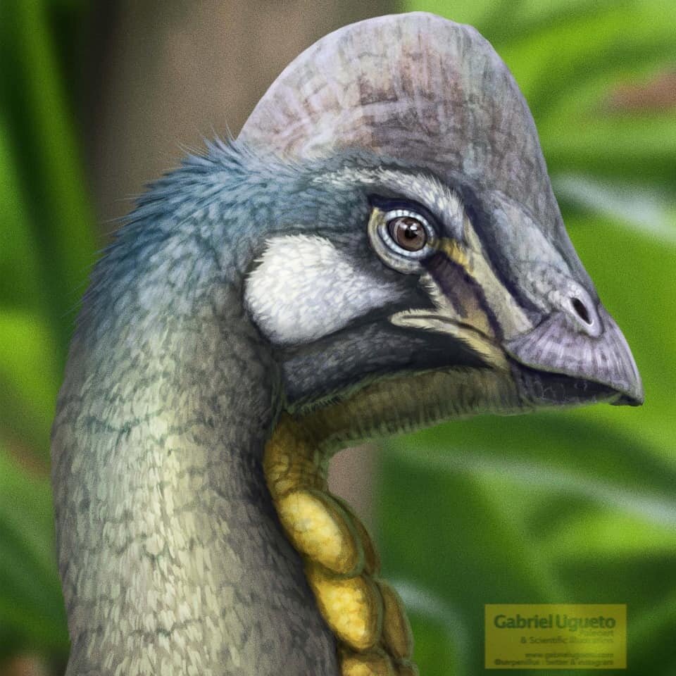 Ну чисто птичья голова.